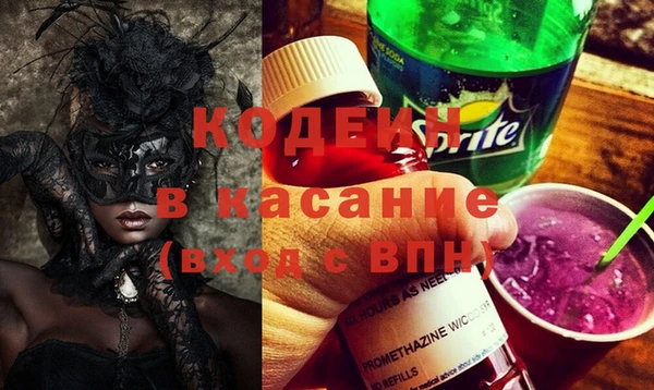 индика Краснотурьинск